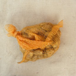 PDT nouvelles 2kg