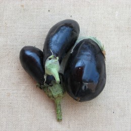 Aubergines