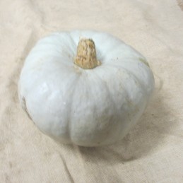 BLEUE DE HONGRIE 1KG