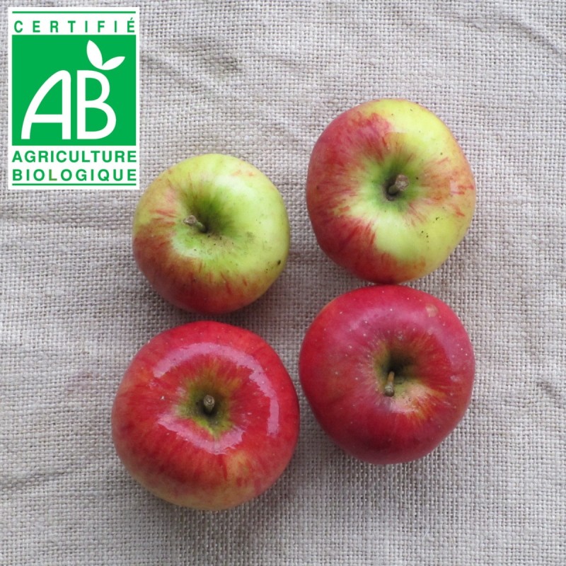 Pommes Topaz BIO
