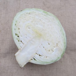 Chou blanc tranché 