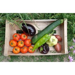 Kit Ratatouille