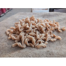 Pâtes Gemelli