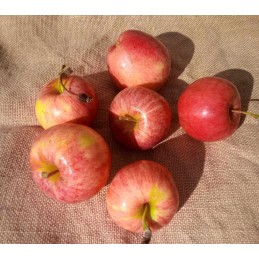 Pommes Gala