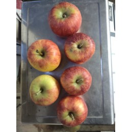 Pommes Pirouette
