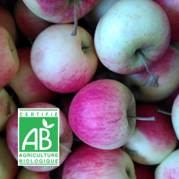 Pommes Pinova BIO