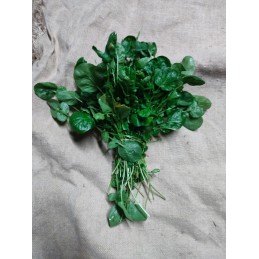 200g de cresson