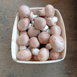 2 barquettes de champignons...