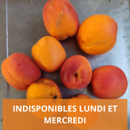 Abricots ce sont des 2ème...
