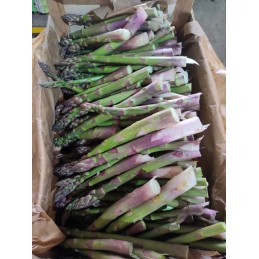 Asperges vertes vrac 5kg