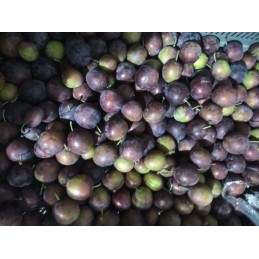 Prunes