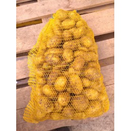 PDT nouvelle Gold Marie 10KG