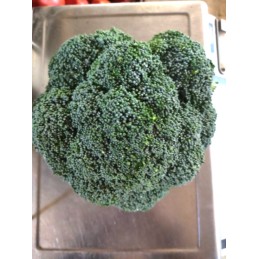 Brocoli