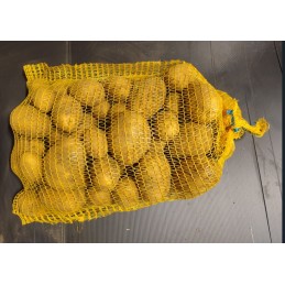 PDT Anissa (remplace la...