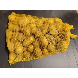 PDT Anissa (remplace la...