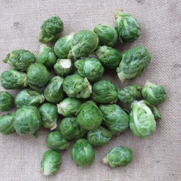 Choux de Bruxelles épluchés