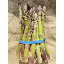 Asperges vertes