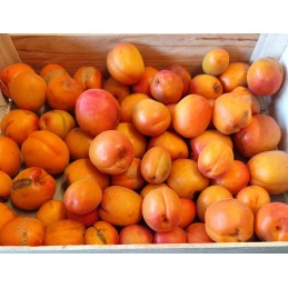 Abricots 500g Cat 1