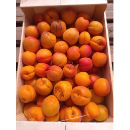 Abricots 500g brut de...