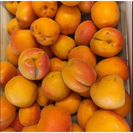 Abricots 5kg déclassés aspect