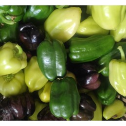Poivrons couleurs mélangées