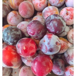 Prunes