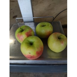 Pommes Delbard estival