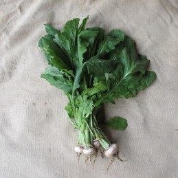 Petits navets nouveaux avec...