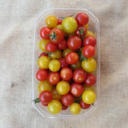 Tomates cerises
