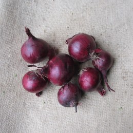 Oignons rouges