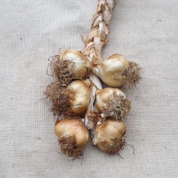 Tresse de 6 têtes d'ail fumé