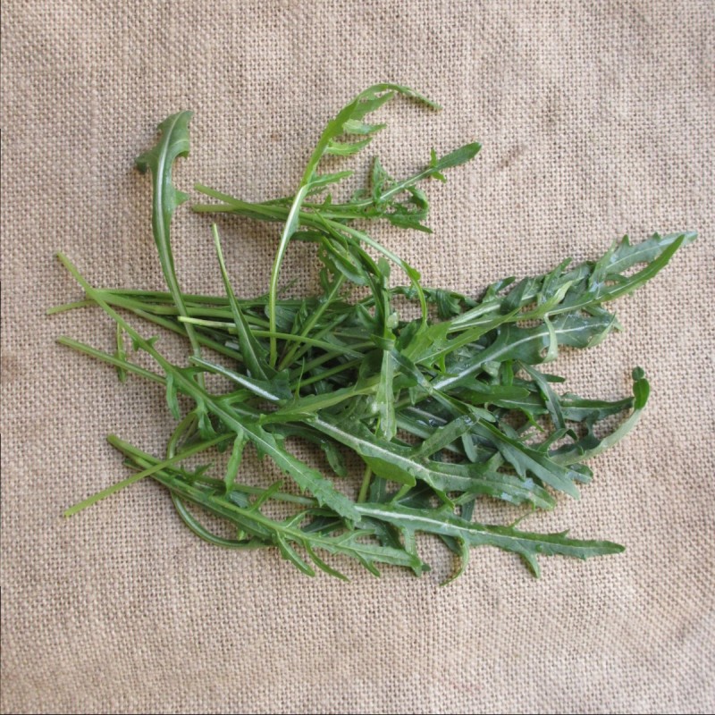 Roquette