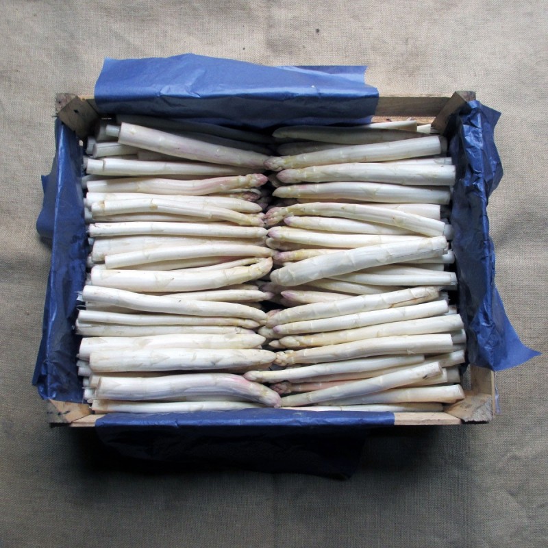 Asperges blanches Asperges blanches
