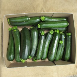 Courgettes - 5kg