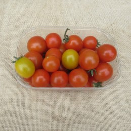 Tomates cerises