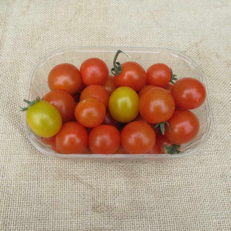 Tomates cerises