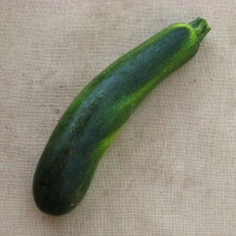 Courgettes à farcir