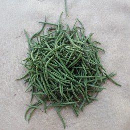 Haricots verts de fin de...