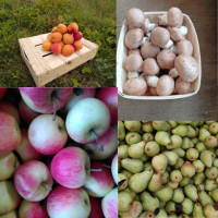 Fruits et jus