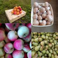 Fruits et légumes