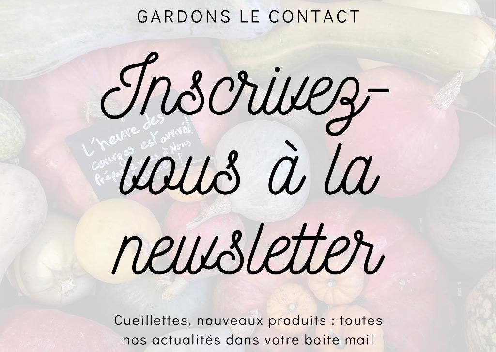 newsletter